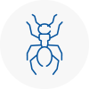Ant Removals In Guildford