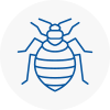 Bed Bug Extermination In Guildford