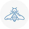Bee Nest Removal Guildford