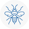 Guildford Hornet Nest Removals