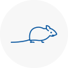 Mice Exterminators In Guildford