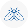 Moth Control Specialists In Guildford