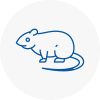 Rat Control Guildford