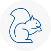 Guildford Rodent Removals